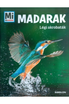Madarak - Légi akrobaták
