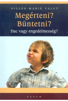 Megérteni? büntetni? /Dac vagy engedelmesség?