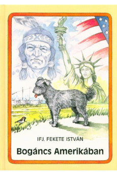 Bogáncs Amerikában