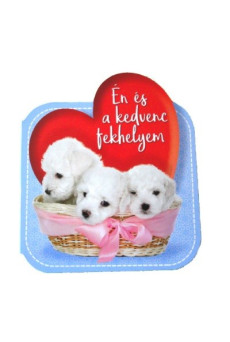 Én és a kedvenc fekhelyem
