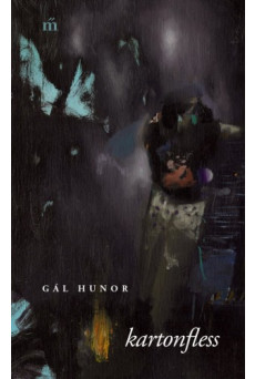 kartonfless (e-könyv)