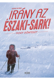 Irány az Északi-sark! - Hogy döntesz?