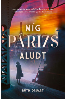 Míg Párizs aludt (e-könyv)