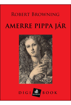 Amerre Pippa jár (e-könyv)