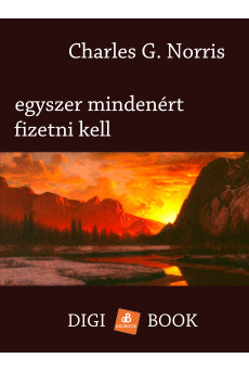 Egyszer mindenért fizetni kell (e-könyv)