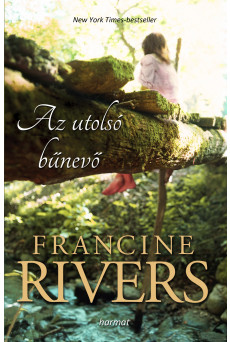 Az utolsó bűnevő (e-könyv)