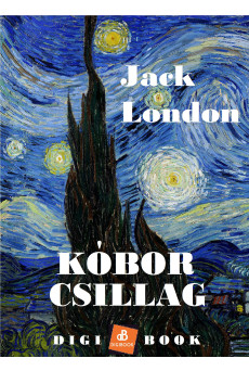 Kóbor csillag (e-könyv)