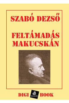 Feltámadás Makucskán (e-könyv)