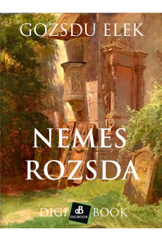 Nemes rozsda (e-könyv)