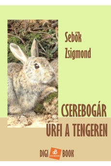 Cserebogár úrfi a tengeren (e-könyv)