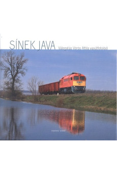 SÍNEK JAVA