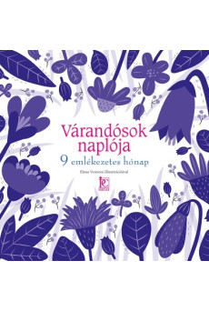 Várandósok naplója - 9 emlékezetes hónap