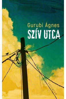 Szív utca (4. kiadás)