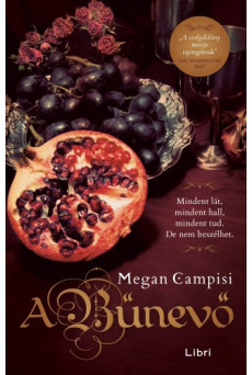 A bűnevő (e-könyv)