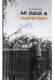 Mi dalol a madárban - P-Art