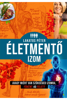 Életmentő izom - avagy miért van szükséged izomra, főként 40 felett