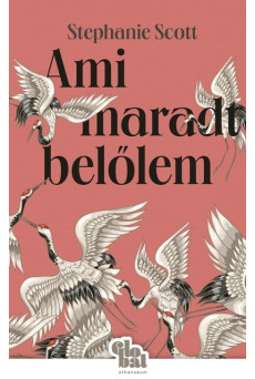Ami maradt belőlem