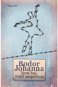 Nem baj, majd megértem (e-könyv)