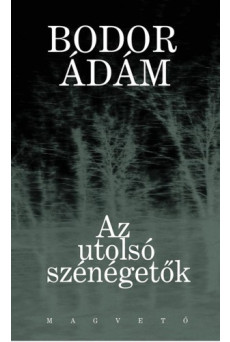 Az utolsó szénégetők (e-könyv)