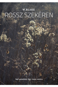 Rossz szekéren (e-könyv)