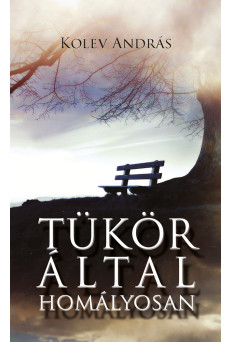 Tükör által homályosan (e-könyv)