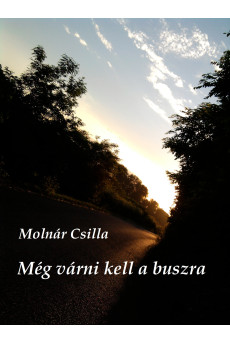 Még várni kell a buszra (e-könyv)
