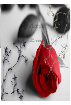 Ébredés (e-könyv)