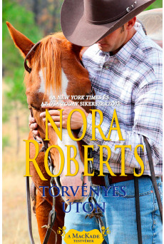 Törvényes úton (e-könyv)