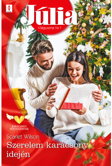 Júlia 691. (e-könyv)