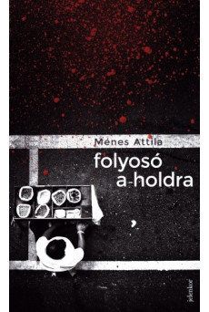 Folyosó a holdra (e-könyv)