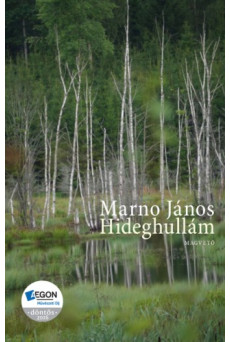 Hideghullám (e-könyv)