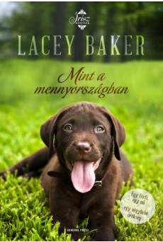 Mint a mennyországban (e-könyv)