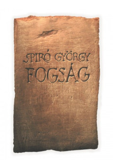 Fogság (e-könyv)