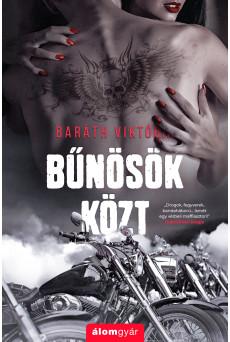Bűnösök közt (e-könyv)