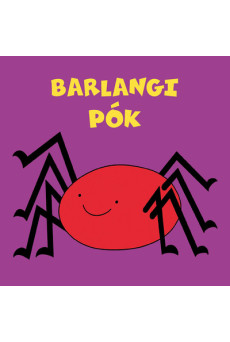Barlangi pók