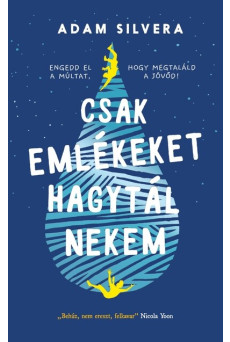 Csak emlékeket hagytál nekem