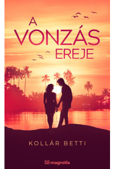 A vonzás ereje - A vonzás törvénye