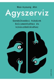 Agyszerviz (e-könyv)