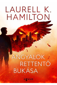 Angyalok rettentő bukása (e-könyv)