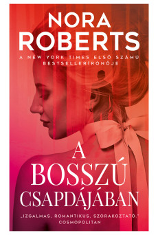 A bosszú csapdájában (e-könyv)