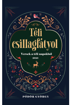 Téli csillagfátyol - Versek a téli napokból