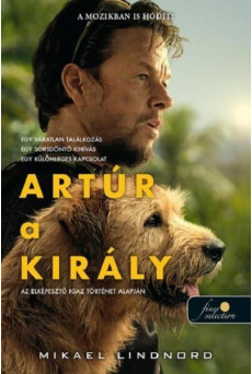 Artúr a király (filmes borító)