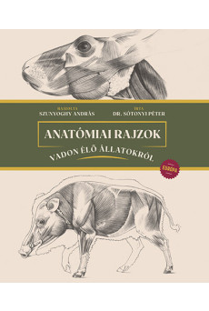 Anatómiai rajzok vadon élő állatokról - Európa