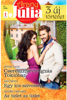 Arany Júlia 61. (e-könyv)