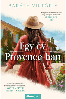 Egy év Provence-ban (e-könyv)