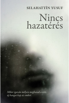 Nincs hazatérés (e-könyv)