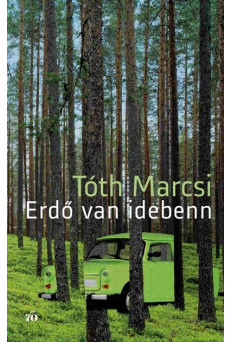 Erdő van idebenn