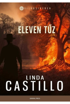 Eleven tűz - Világsikerek