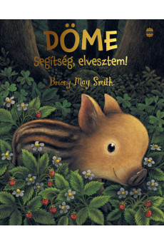 Döme - Segítség, elvesztem!