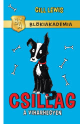 Csillag a viharhegyen